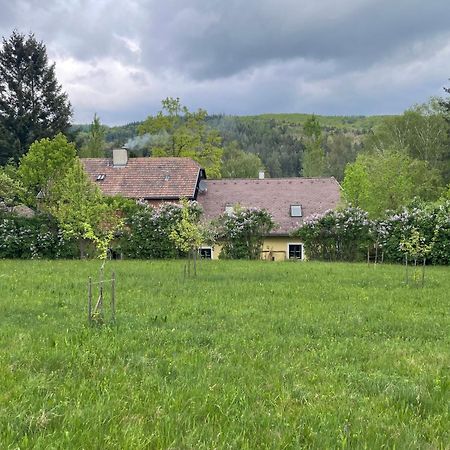Bed&Breakfast Im Gruenen Nah An Wien Brettwies Bagian luar foto