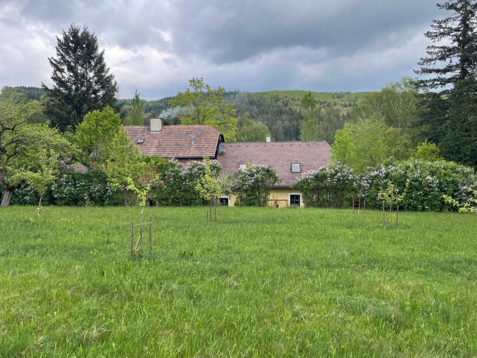 Bed&Breakfast Im Gruenen Nah An Wien Brettwies Bagian luar foto