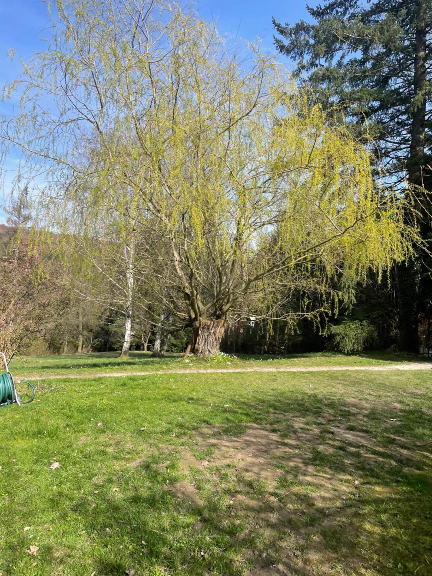 Bed&Breakfast Im Gruenen Nah An Wien Brettwies Bagian luar foto